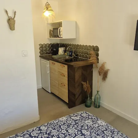 Independante Avec Sdb, Cuisine Et Terrasse